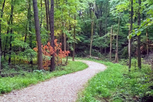 TrailWebsm Trail