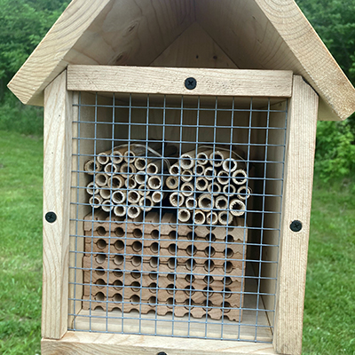 Bee Box